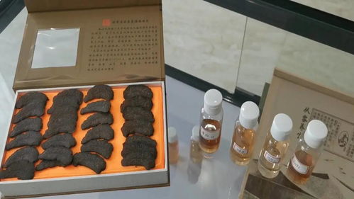 科技轉化成果成為產業高質量發展新動能