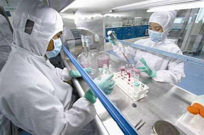 MOVAS貼壁傳代培養(yǎng)細(xì)胞系價(jià)格 產(chǎn)地:上海市張江高科技園區(qū) 品牌:DSMZ、ATCC、RIKEN等細(xì)胞庫 廠家:上海鼎達(dá)生物科技