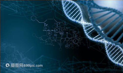 DNA分子高科技DNA分子的生物化學(xué)背景