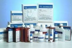 鼠抗人D-泛酸檢測(cè)單抗-研域(上海)生物科技