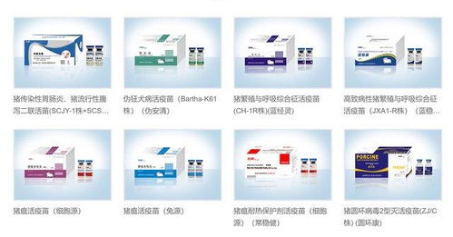 華派生物 取其 精華 ,自成 華派 ,引領(lǐng)動(dòng)保行業(yè)新未來(lái)