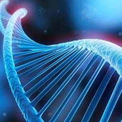 生物科技、細胞領域新業態講座