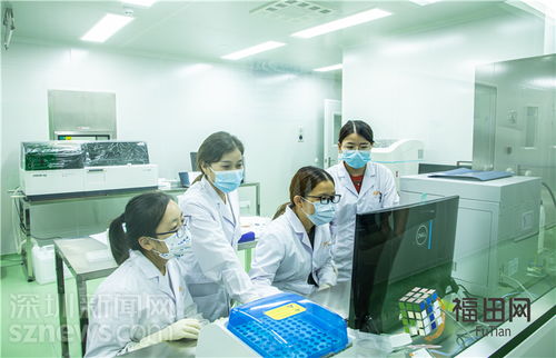 河套引擎激活澎湃動力,四面著力譜寫深港新篇